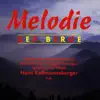 Various Artists - Melodie Der Berge